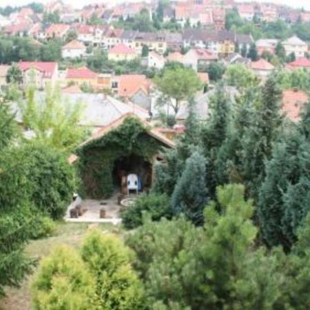 Borbarat Vendeghaz Villa Eger Exteriör bild
